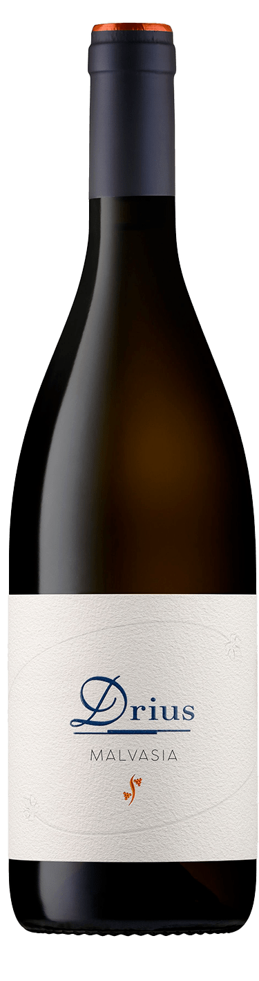 Malvasia Drius
